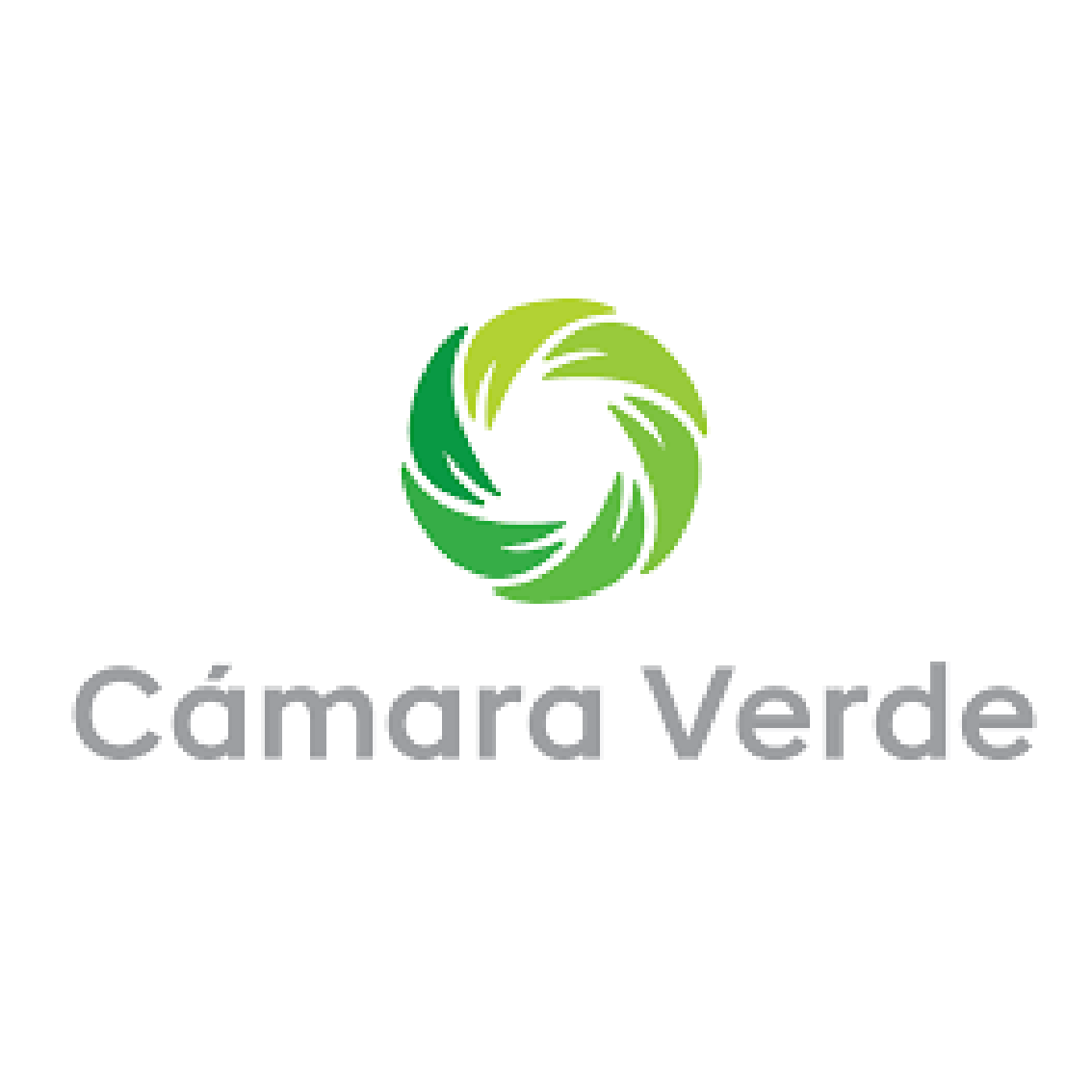 logo-camara-verde