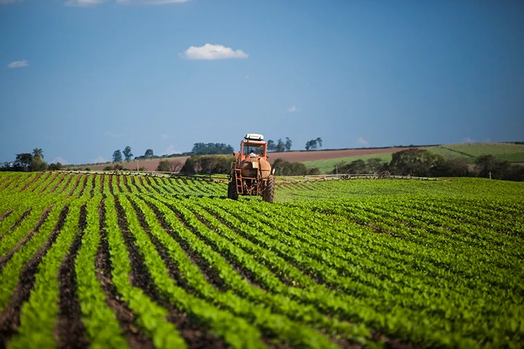 sectores-agroindustria